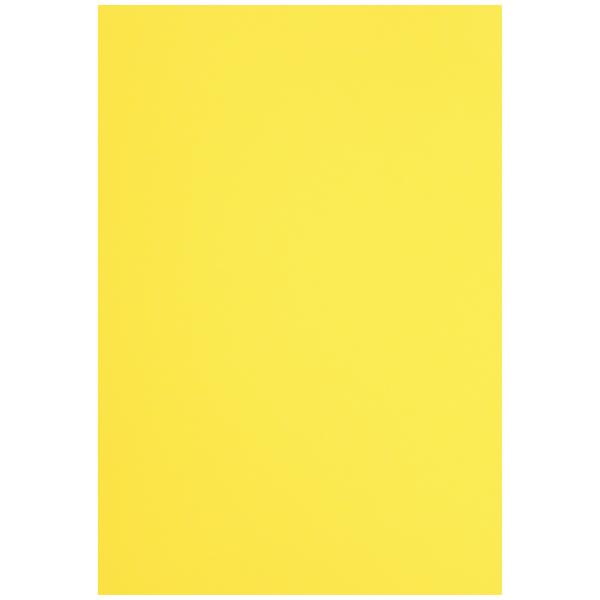 JElbg Fp@l؁@@POO 4226-9137