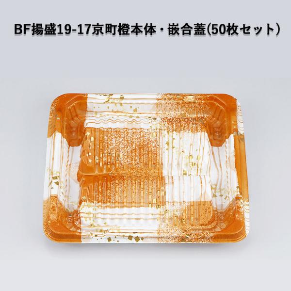 ĝ y g BFg19-17{́EƍWZbg (50Zbg) dqWOK ϔM105 ̊ fJ