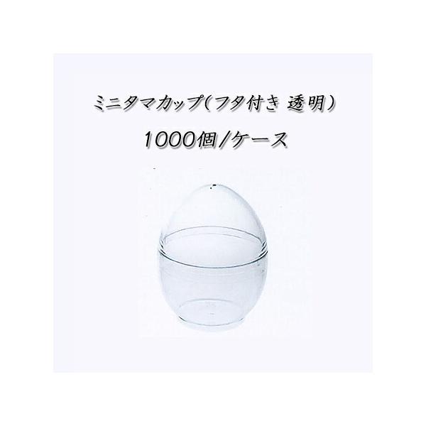 ~j^}Jbv(t^t ) (1000/P[X)