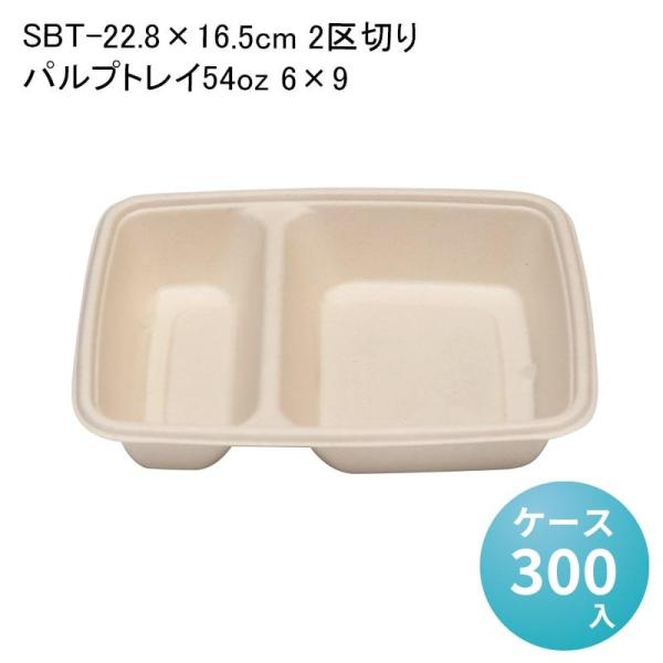 SBT-22.8×16.5cm 2؂pvgC54oz 6×9[P[X300]  oKX t[hpbN ĝ fo[ zB dqWΉ ϖ GR z ⓀΉ