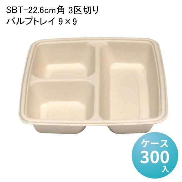 SBT-22.6cmp 3؂pvgC 9×9[P[X300] oKX t[hpbN ĝ fo[ zB dqWΉ ϖ GR z ⓀΉ
