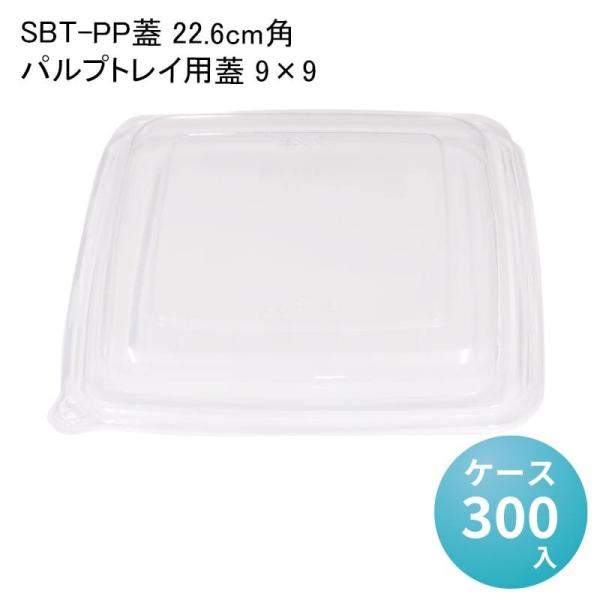 SBT-PPW 22.6cmppvgC pW 9×9[P[X300] oKX t[hpbN ĝ fo[ zB dqWΉ ϖ GR z ⓀΉ