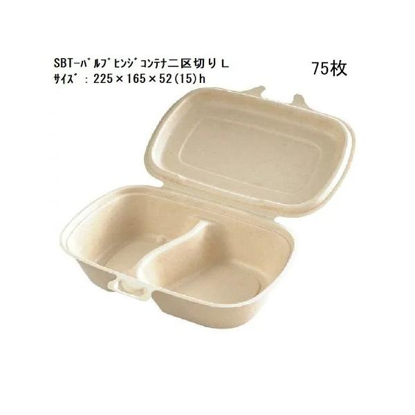 ĝĕٓ [bgΉi]SBT-pvqWRei؁@L@[VT]