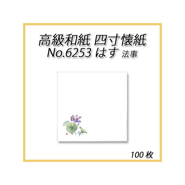 a@l No.6253 ͂ @ (100) lR|XΉ