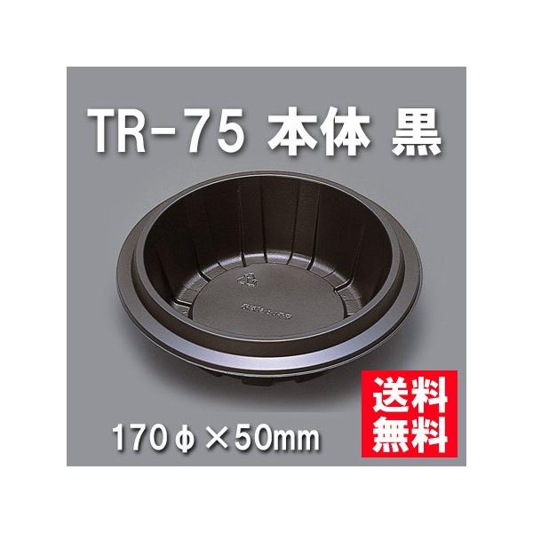 ĝ ٓ TR-75 { i800/P[Xj