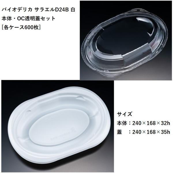 eCNAEg oCIfJ TGD24B  {́EOCWZbg[eP[XUOO] pX^ Ă ICX ĝėe fo[ JtF