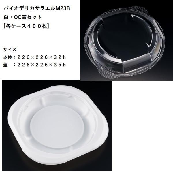 eCNAEg oCIfJTGM23B EOCWZbg[eP[XSOO] pX^ Ă ICX ĝėe fo[ JtF