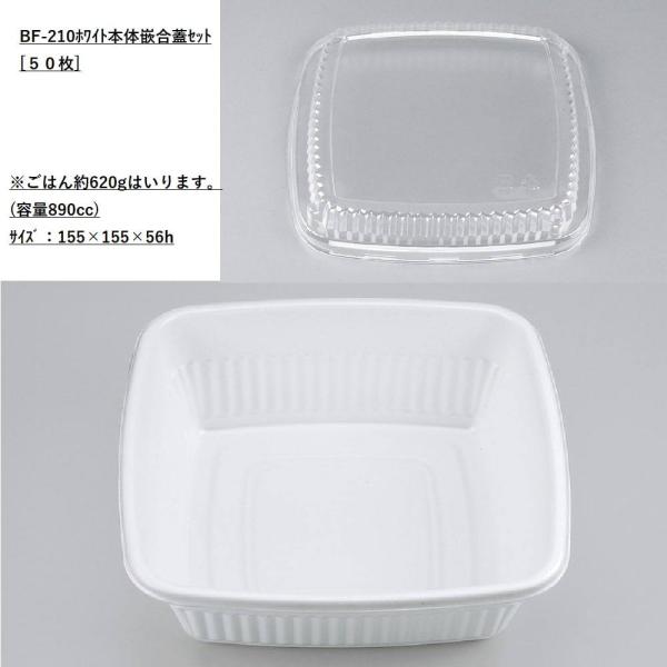 [bgZbgi] BF-210 zCg {́EWZbg[50] eCNAEg ǂԂ  RR JtF ĝėe A fo[