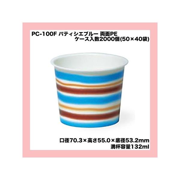 PC-100F peBVGu[ PE (2000/P[X) 