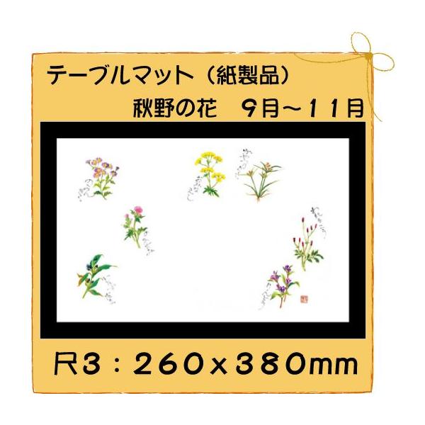 ĝ a e[u}bg 3 H̉ԁ@No.316 100