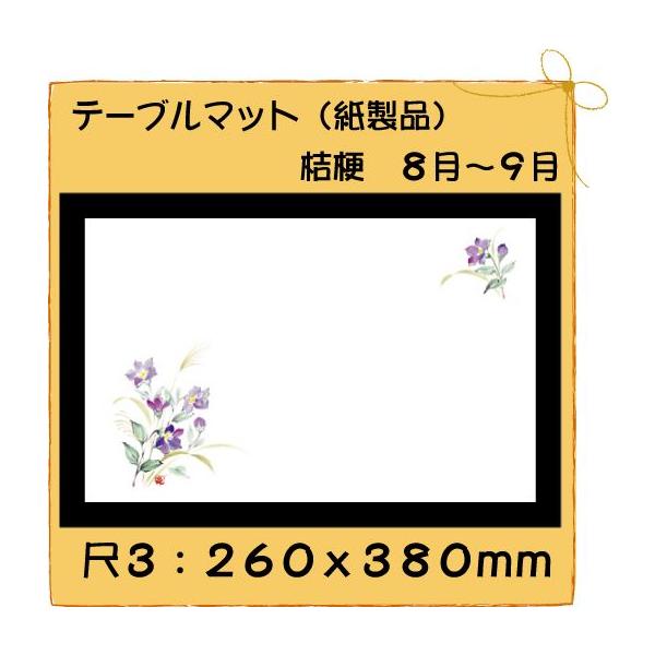 ĝ a e[u}bg 3 j[@No.228 100