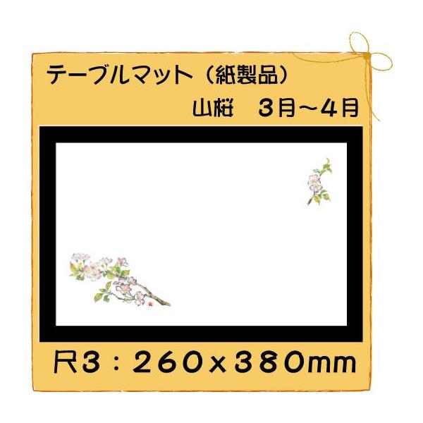 ĝ a e[u}bg 3 R No.207 100