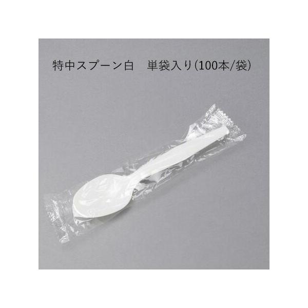 ĝ Xv[@@Pܓ@(100{/)