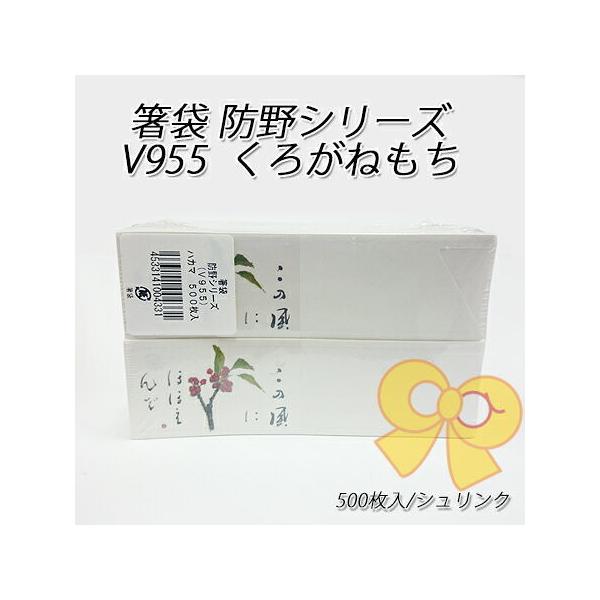  hV[Y V955 낪˂(500/VN)