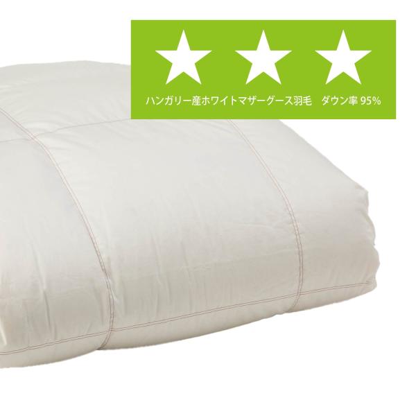 パラマウントベッド 電動ベッド【ダブル 190幅】 DOWN COMFORTER ハンガリー産ホワイトマザーグース 羽毛ふとん ライムグリーン ダウン95％ RE-ZK072D
