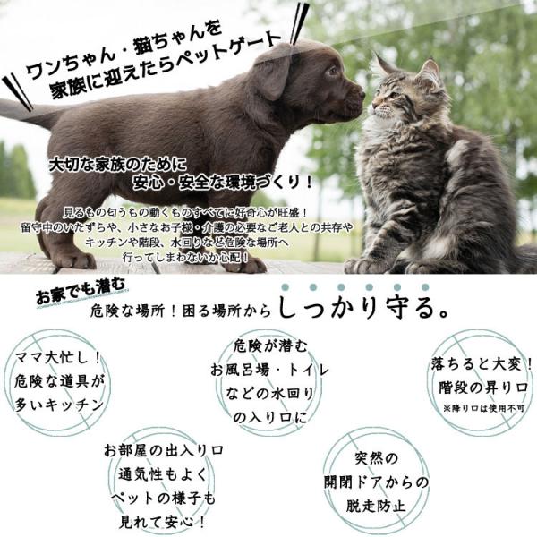 Online Only 海外取寄 ペットゲート イーブンフロー 81cm ナチュラルウッド ウォークスルー ゲート 中型犬 大型犬 Evenflo Buyee Buyee Japanese Proxy Service Buy From Japan Bot Online
