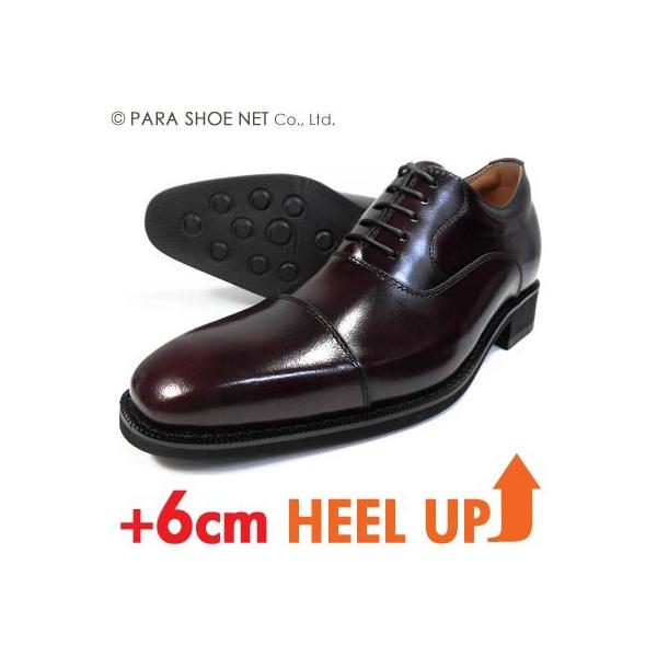 ANCIEN CREPINS {v Xg[g`bv V[Nbgq[Abvi+6cmjrWlXV[Y _[NC 3EiEEEj23.5cmA24cmi24.0cmjyTCYvCz