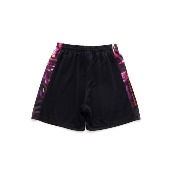 paraspo_ino-hbwer00441_1_d_20251206162458