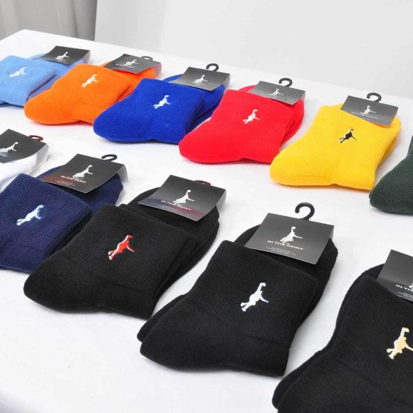 paraspo_ino-spcbx00150_1