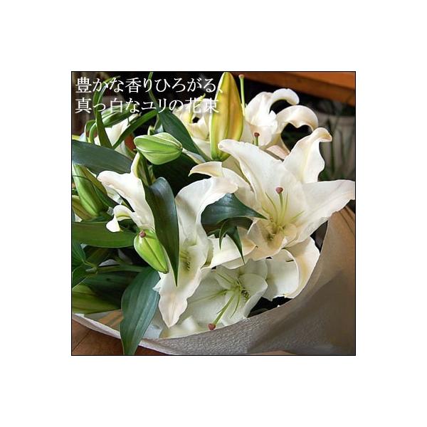 真っ白なユリの花束 誕生日 プレゼント お祝い 発表会 コンサート 開店祝い お供え ギフト 花 百合 白い ゆり お中元 クリスチャン 花 洋花 Lily 花ギフト専門店 パラボッセ 通販 Yahoo ショッピング