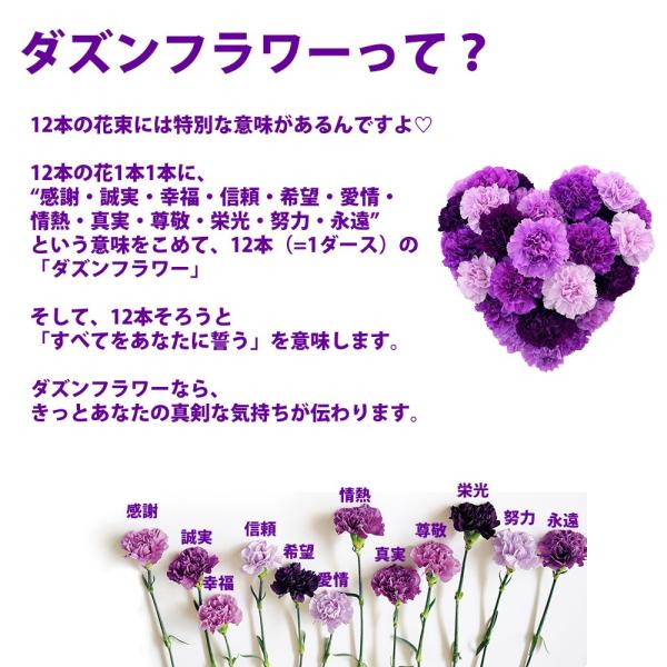 誕生日プレゼント 花 古希祝い ムーンダストの花束 S 12本の 花束 青い カーネーション 誕生日 珍しい花 サントリー 紫のカーネーション Buyee Buyee Japanese Proxy Service Buy From Japan Bot Online