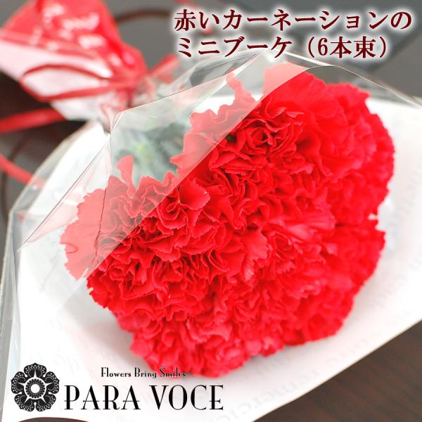 赤いカーネーションのミニブーケ 母の日 花 ギフト プレゼント 花束 ブーケ お手頃価格 安い 花 母の日プレゼント 数量限定 Buyee Buyee 日本の通販商品 オークションの代理入札 代理購入