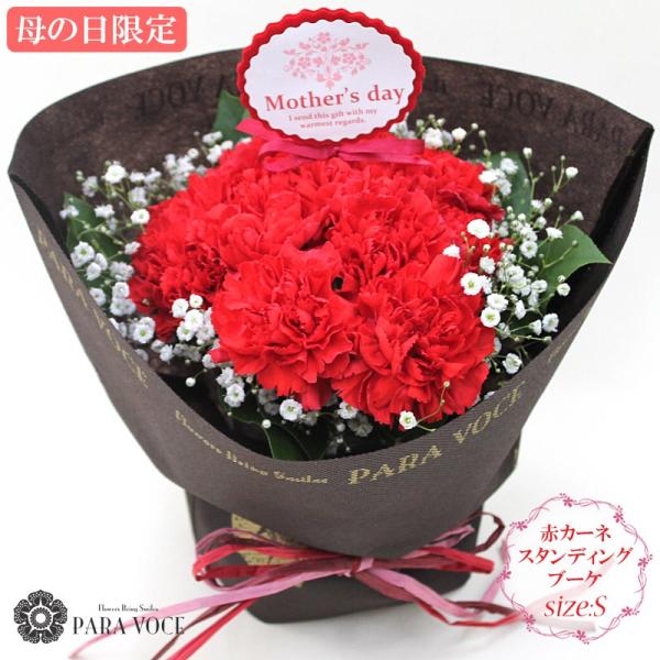 母の日 花 ギフト 母の日ギフト 母の日 花 プレゼント 赤いカーネーションのスタンディングブーケ Sサイズ 12本 定番 お洒落 花瓶が要らない花束 贈り物 Buyee Buyee Japanese Proxy Service Buy From Japan Bot Online