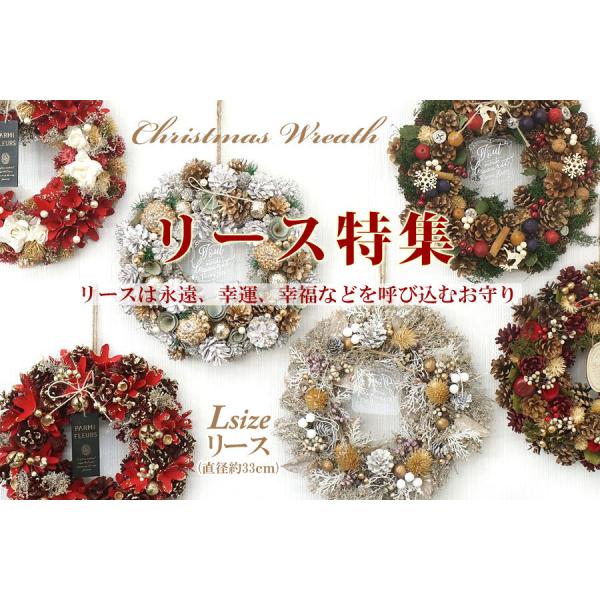 クリスマスリース クリスマス リース 玄関飾り 飾り Xmas Christmas X Mas ケース入 玄関 クリスマス飾り 誕生日プレゼント 綺麗 ラメ Buyee Buyee 提供一站式最全面最專業現地yahoo Japan拍賣代bid代拍代購服務 Bot Online