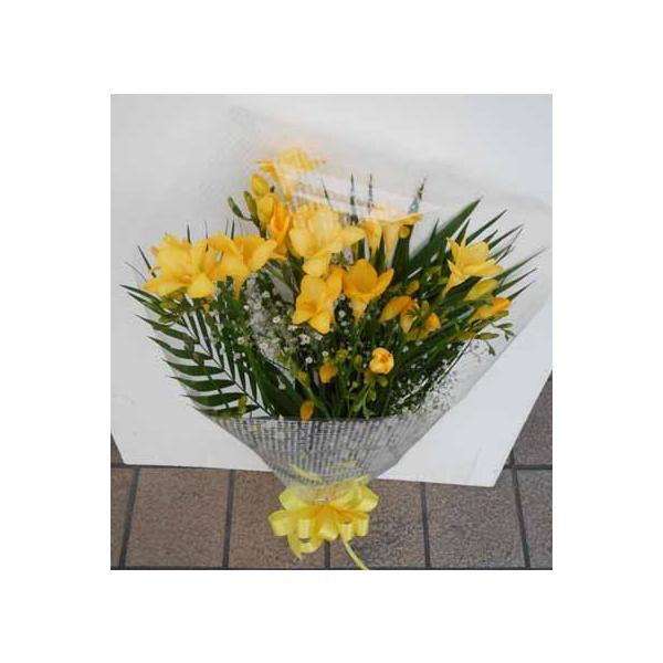 春の訪れの黄色のフリージアとカスミソウの花束 本 送料無料ギフトです Buyee Buyee Japanese Proxy Service Buy From Japan Bot Online