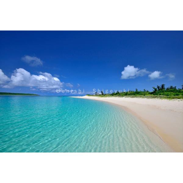 沖縄 宮古島 海の風景 ポストカード 12枚セット 写真家 上西重行 美ら海 宮古 マリンフォト企画 Buyee Buyee 日本の通販商品 オークションの入札サポート 購入サポートサービス