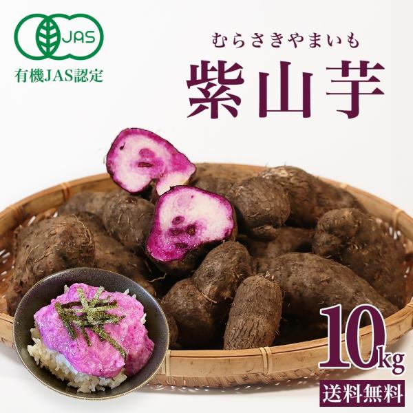 沖縄県産紫山芋20Kg 農薬不使用