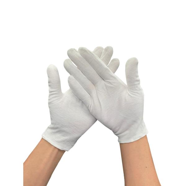  Rbg 12og 100%   |p Ǝp Ɨp ip p ێp K[fjOp Y fB[X (t[TCY)