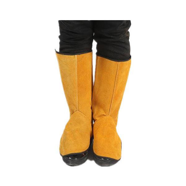 v nڗp Jo[ C h n Ώh~ h ₯ ΍ ϔM ΂̕ Ɨpi