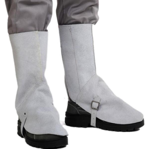 v nڗp Jo[ C h n Ώh~ h ₯ ΍ ϔM ΂̕ Ɨpi