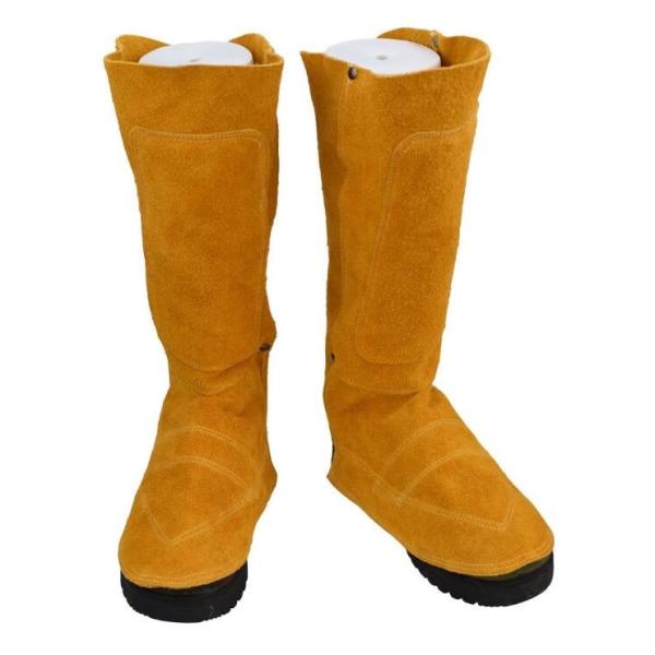 v nڗp Jo[ C h n Ώh~ h ₯ ΍ ϔM ΂̕ Ɨpi