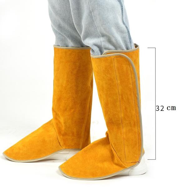 v nڗp Jo[ C h n Ώh~ h ₯ ΍ ϔM ΂̕ Ɨpi