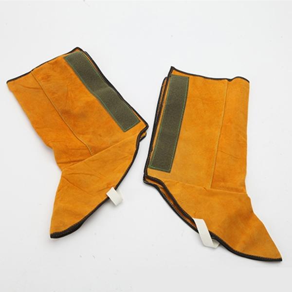 v nڗp Jo[ C h n Ώh~ h ₯ ΍ ϔM ΂̕ Ɨpi