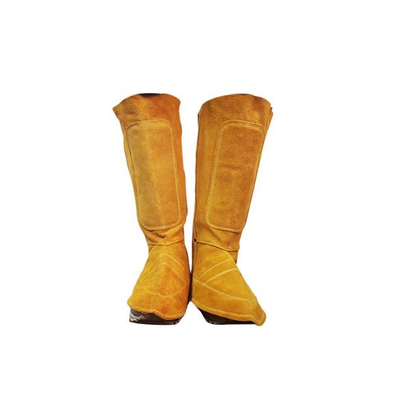 v nڗp Jo[ C h n Ώh~ h ₯ ΍ ϔM ΂̕ Ɨpi g-fh49