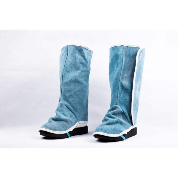 v nڗp Jo[ C h n Ώh~ h ₯ ΍ ϔM ΂̕ Ɨpi