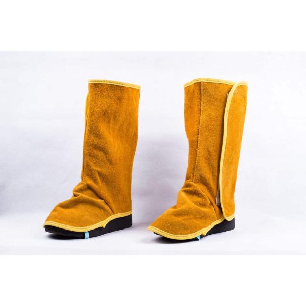 v nڗp Jo[ C h n Ώh~ h ₯ ΍ ϔM ΂̕ Ɨpi