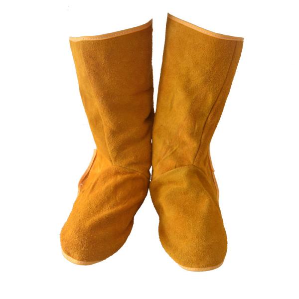 v nڗp Jo[ C h n Ώh~ h ₯ ΍ ϔM ΂̕ Ɨpi