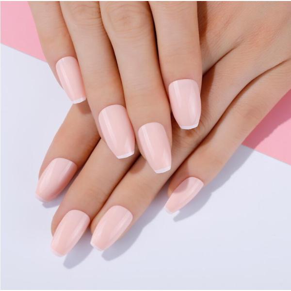 t lC`bv  Y h a  fGȃlC`bv fRlCRNV 킢 t  H ~ lCpi DIYlC 24