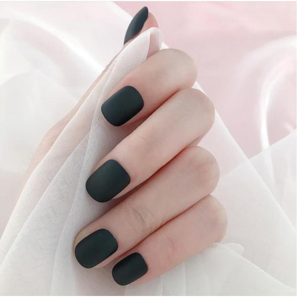 t lC`bv  Y h a  fGȃlC`bv fRlCRNV 킢 t  H ~ lCpi DIYlC 24