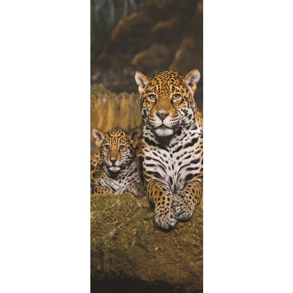 EH[XebJ[ hApXebJ[ V[ 3D ǎ \Ă͂ p hAV[g hV[  hAV[g hAǎ DIY  