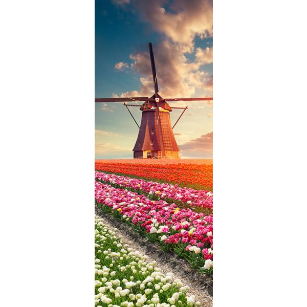 EH[XebJ[ hApXebJ[ V[ 3D ǎ \Ă͂ p hAV[g hV[  hAV[g hAǎ DIY  