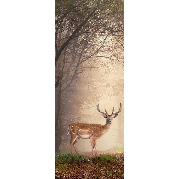 EH[XebJ[ hApXebJ[ V[ 3D ǎ \Ă͂ p hAV[g hV[  hAV[g hAǎ DIY  