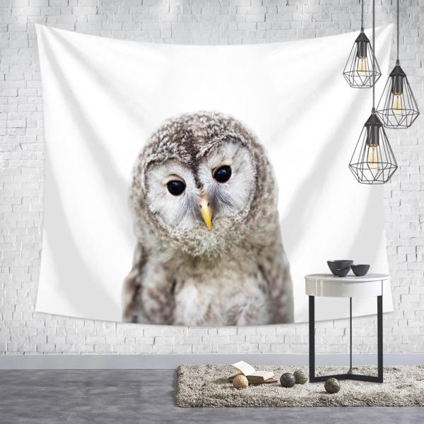 ^yXg[ tNE Ǌ|ǉ k @\Ǌ| t@ubNpi EH[fR[V ͗lւ  J[e Mtg 