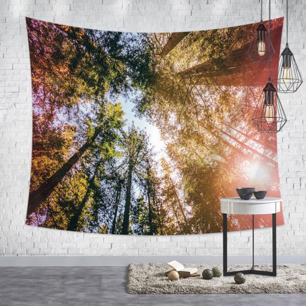 ^yXg[ X Ǌ|ǉ    @\Ǌ| t@ubNpi EH[fR[V ͗lւ  J[e Mtg