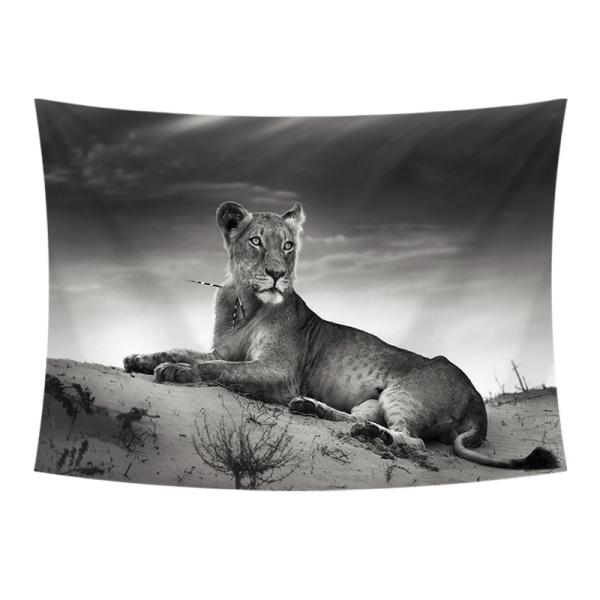 ^yXg[ CI Ǌ|ǉ k @\Ǌ| t@ubNpi EH[fR[V ͗lւ  J[e Mtg 