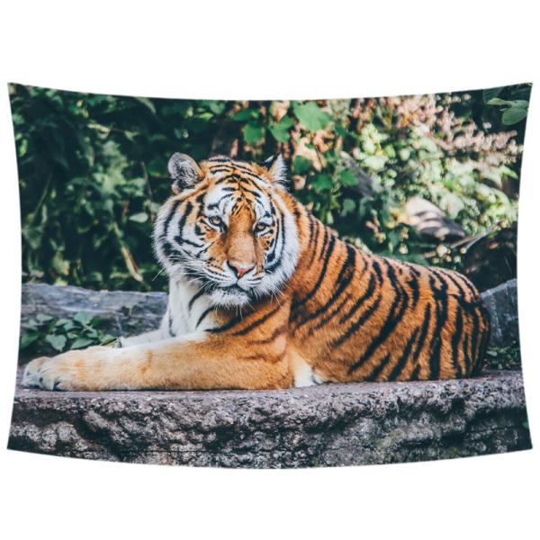 ^yXg[ g Ǌ|ǉ k @\Ǌ| t@ubNpi EH[fR[V ͗lւ  J[e Mtg 